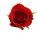 Profile Picture of Dora Fernandez (@Dora-Fernandez) on Facebook