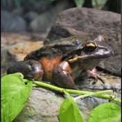 Profile Picture of Josephine Lugo (@josephineguillen6541) on Youtube