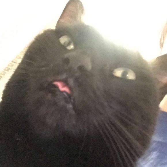 Profile Picture of Shyanne Spurgin (@shyohbi) on Poshmark