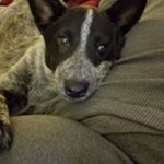 Profile Picture of Tracey Walters (@tracey.walters.104) on Instagram