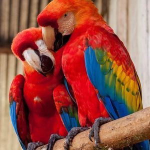 Luis Brooks - Myspace Profile Picture of Luis Brooks (@luisbrooks) on Myspace