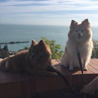 Profile Picture of Csaba Kovacs (@csaba-kovacs-4) on Quora
