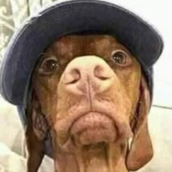 Profile Picture of Tyrone Knox (@charli4k) on Poshmark