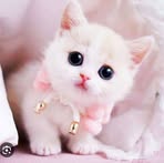 Profile Picture of Disha Upadhyay (@Disha-Upadhyay) on Facebook