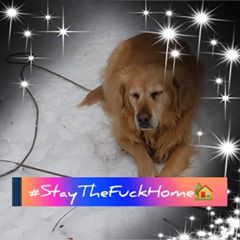 Profile Picture of Nancy Zielke (@nancyzielke) on Tiktok
