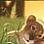 Renee Yancey - Flickr Profile Picture of Renee Yancey (@~Renee Nicole~) on Flickr