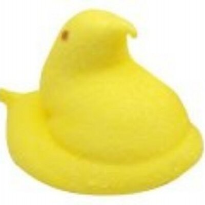 Profile Picture of Samuel P Grubb (@spgrubb) on Twitter