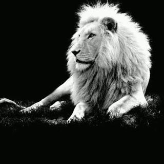 Profile Picture of Luca Sergio (@luca.sergio.90) on Facebook