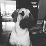 Profile Picture of kodyspeelman43 (@kodyspeelman43) on Tiktok