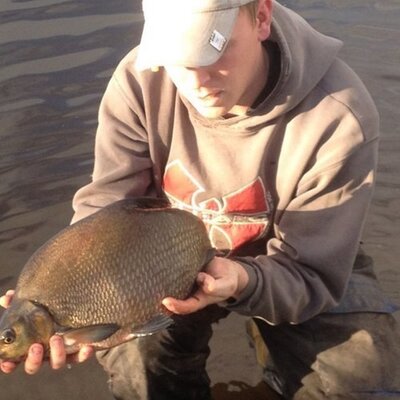Profile Picture of Stephen Leddy (@stephenleddy1) on Twitter