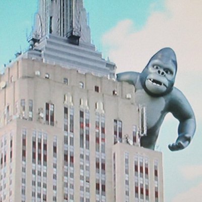 Profile Picture of Dominic Cicalese (@Realdomcicalese) on Twitter