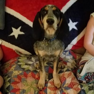 Profile Picture of Scott Janeway (@janeway_scott) on Twitter