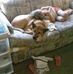 Profile Picture of Cindy Inman (@Cindy-Inman) on Facebook
