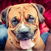 Profile Picture of Michael Kimbrell (@michael-kimbrell-5) on Quora