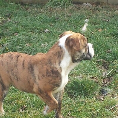 Profile Picture of Shane McCloud (@lkmc48) on Twitter