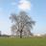 Profile Picture of Chris_tucker@rogers.com (@chris_tucker@rogers.com) on Flickr