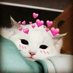 Consuelo Bernal - Instagram Profile Picture of Consuelo Bernal (@sin_sueloo) on Instagram