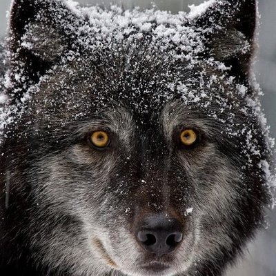 Profile Picture of Michael Conroy (@Michaelconroy17) on Twitter