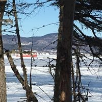 Profile Picture of Phyllis Hamilton (@phyllis-hamilton-7) on Quora