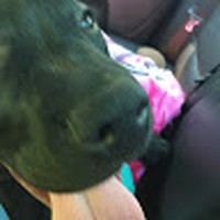 Profile Picture of Alex Maly (@alex-maly-6) on Quora