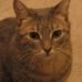 Profile Picture of Trudy Bates (@trudy.bates.75) on Facebook