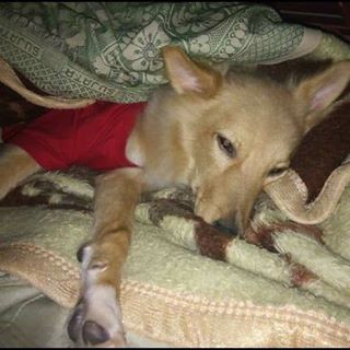 Kiran Pinto - Facebook Profile Picture of Kiran Pinto (@kiran.pinto.528) on Facebook