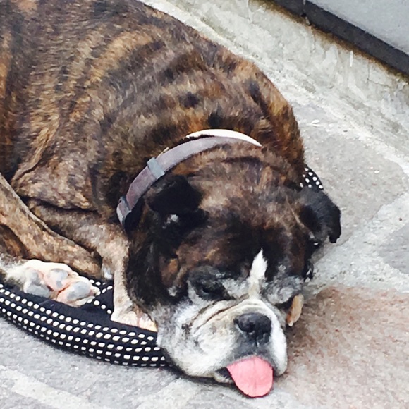 Profile Picture of Lisa Sutter (@lwsutter) on Poshmark