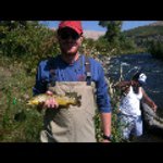 Profile Picture of Tyler McConnell (@spokestuttle) on Instagram