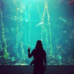 Profile Picture of joshua ku (@joshku) on Instagram