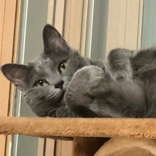 Profile Picture of 💖 (@hayong_) on Instagram