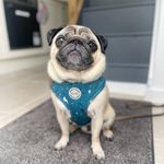 Profile Picture of Brian Grayson (@briangrayson66) on Instagram
