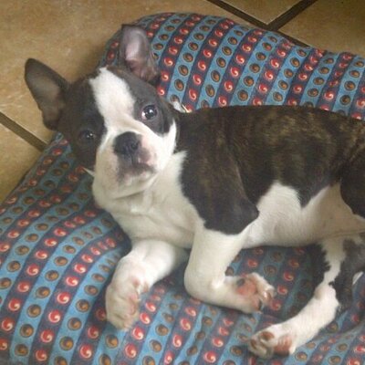 Profile Picture of Murray Gordon-Hughes (@muzzard76) on Twitter