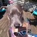 Profile Picture of Eugene Hamrick (@eugene.hamrick.1) on Facebook