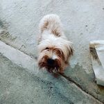 Profile Picture of Roberto Picciotti (@picciottir) on Instagram