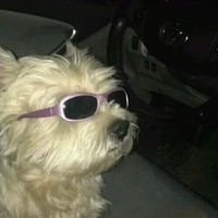 Profile Picture of Jessica Alchammas (@jessica-alchammas) on Quora