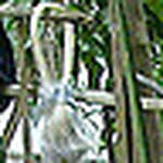 Profile Picture of Nguyen Hieu (@hieu_reno) on Flickr