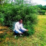 Profile Picture of georgeomary65@gmail.com (@georgeomary65gmail.com5) on Instagram