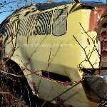 Profile Picture of Ryan Brutt (@theautoarchaeologist) on Instagram