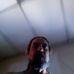 Profile Picture of Mark Walch (@mark.walch.94) on Facebook