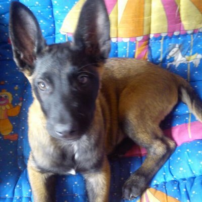 Profile Picture of Abraham Flores (@abrahamflores92) on Twitter