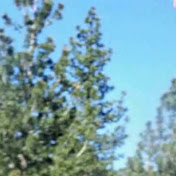 Profile Picture of Mrwhitney92 (@mrwhitney92) on Youtube