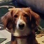 Gale Meyer - Instagram Profile Picture of Gale Meyer (@gale.closemeyer) on Instagram