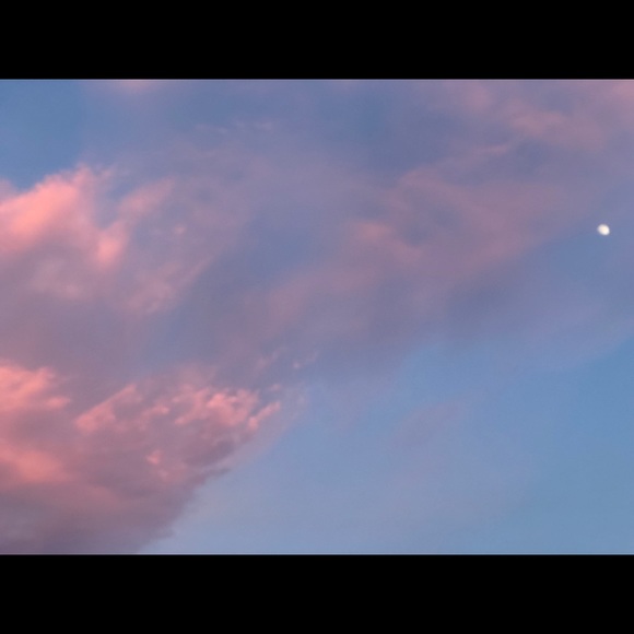 Profile Picture of Taylor Curtis whipple (@taylor1sell) on Poshmark