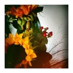 Profile Picture of Herbert Payne (@allytincis) on Instagram