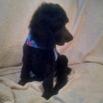 Profile Picture of Jeremy Madison Watts (@jeremywatts75) on Twitter