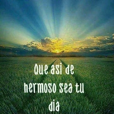 Profile Picture of Lazaro Serrano Apolinar@joiim.mx (@lazaro_apolinar) on Twitter