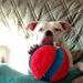 Profile Picture of Troy Sutton (@tvsutton812) on Pinterest