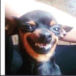 Profile Picture of Andrew ruvalcaba🔪🔫 (@andrew_that_one_dude___) on Instagram