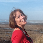 Profile Picture of Camaroem56 (@camaroem56) on Flickr