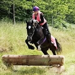 Profile Picture of Tess Scott (@Tess_Scott) on Twitter